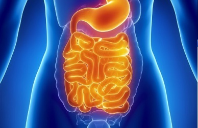 Alimentos ideais para limpar o intestino