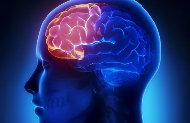 4 exercícios para não perder a lucidez na velhice