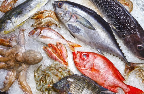 5 peixes que você deve evitar
