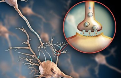 6 maneiras de fortalecer o sistema nervoso