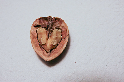 As nozes contêm polifenóis para memória