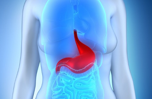Dieta recomendada para a gastroenterite aguda