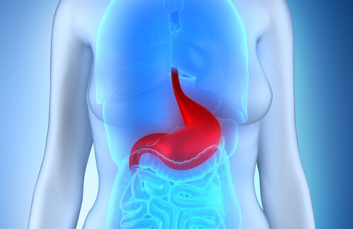 Dieta recomendada para a gastroenterite aguda Dieta recomendada para a gastroenterite aguda