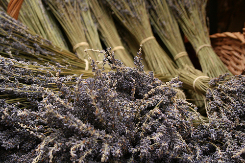 Lavanda para diminuir a pressão arterial
