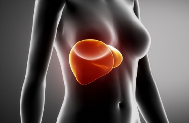 Alimentos ideais para limpar o fígado