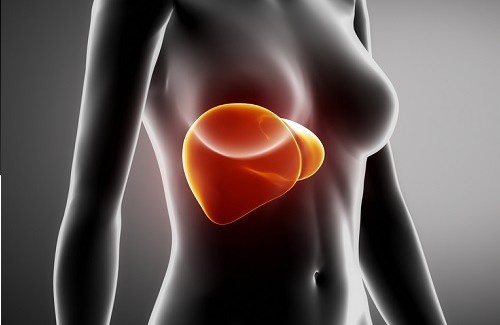 Alimentos ideais para limpar o fígado