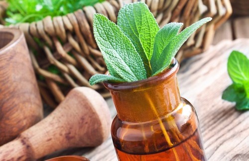 As 15 melhores ervas medicinais