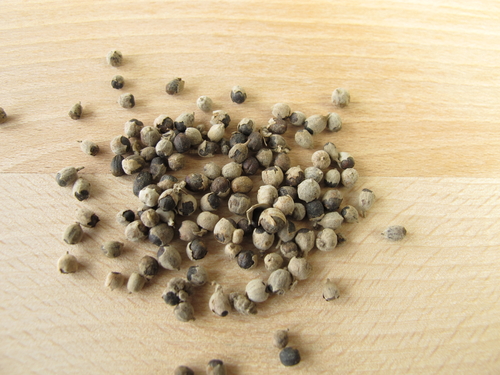 Vitex uma das melhores ervas medicinais