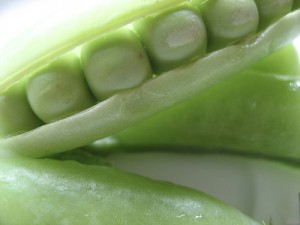 Alimentos que possuem ácido fólico previnem câncer colo retal