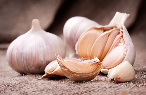 Formas medicinais de preparar o alho Formas medicinais de preparar o alho