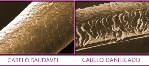 como evitar e prevenir as pontas secas no cabelo