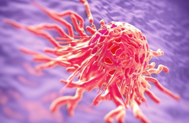 Ervas medicinais usadas na luta contra o câncer