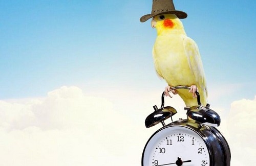 Quatro coisas que as pessoas bem sucedidas fazem nas primeiras horas do dia Quatro coisas que as pessoas bem sucedidas fazem nas primeiras horas do dia