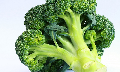 Brócolis alimento que ajuda a reduzir a gordura abdominal