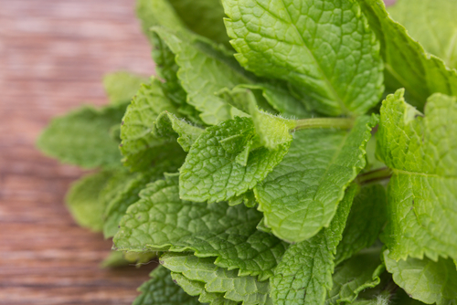 Folha da hortelã