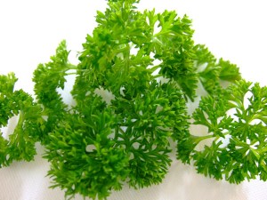 propriedades medicinais da salsa
