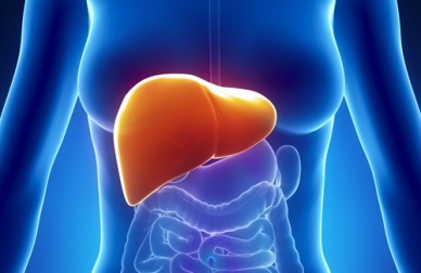 8 sintomas de um problema no fígado
