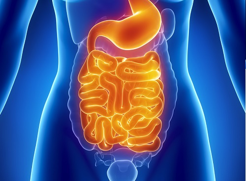 Ilustração para limpar o intestino