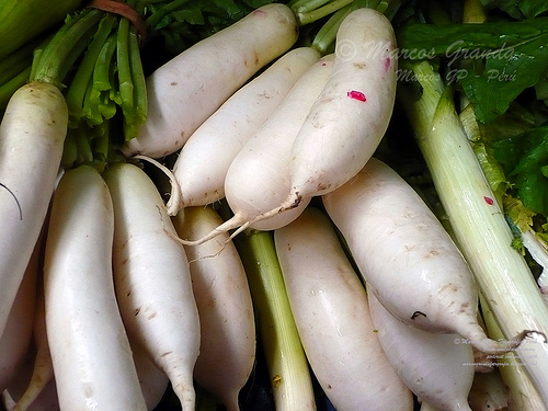 Receitas Vegetarianas