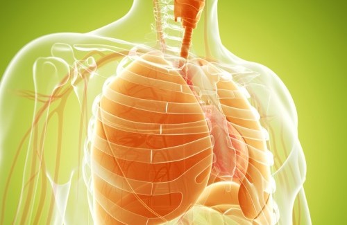 Remédios naturais para limpar e fortalecer os pulmões