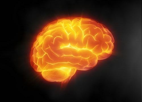 Benefícios da água oara o cérebro