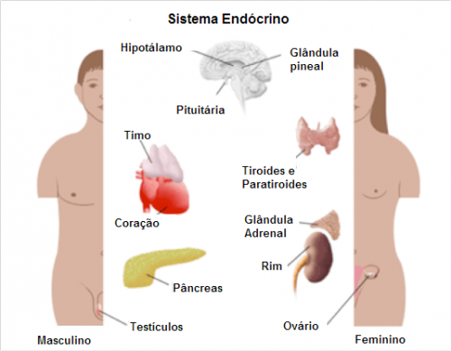 problemas hormonais