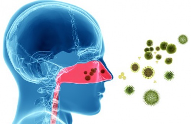 Remédios naturais para as alergias nasais