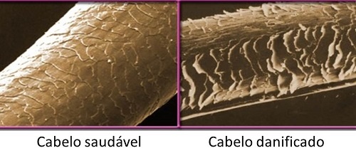Colágeno para fortalecer os cabelos