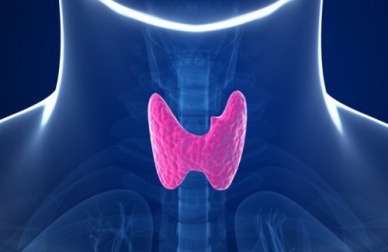 5 hábitos que alteram a tireoide