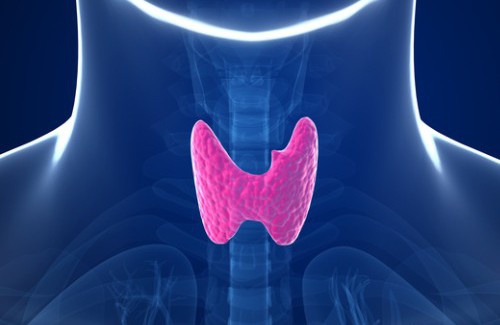 5 hábitos que alteram a tireoide