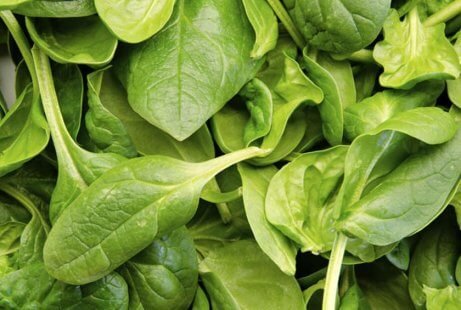 O espinafre pode ajudar a controlar a asma