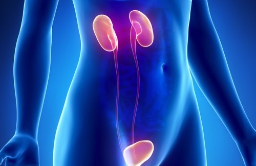 10 sintomas da insuficiência renal 10 sintomas da insuficiência renal