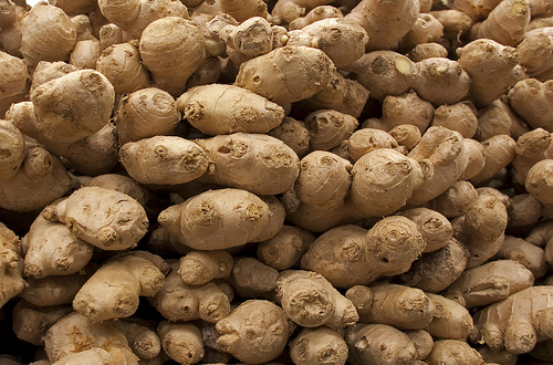 Um dos usos medicinais do gengibre é no favorecimento da circulação sanguínea