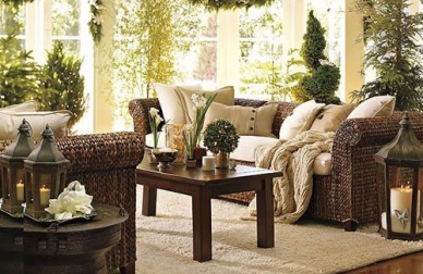 Plantas que ajudam a purificar a casa