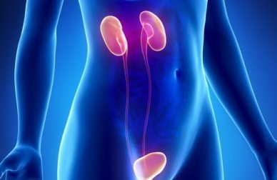 10 sintomas da insuficiência renal