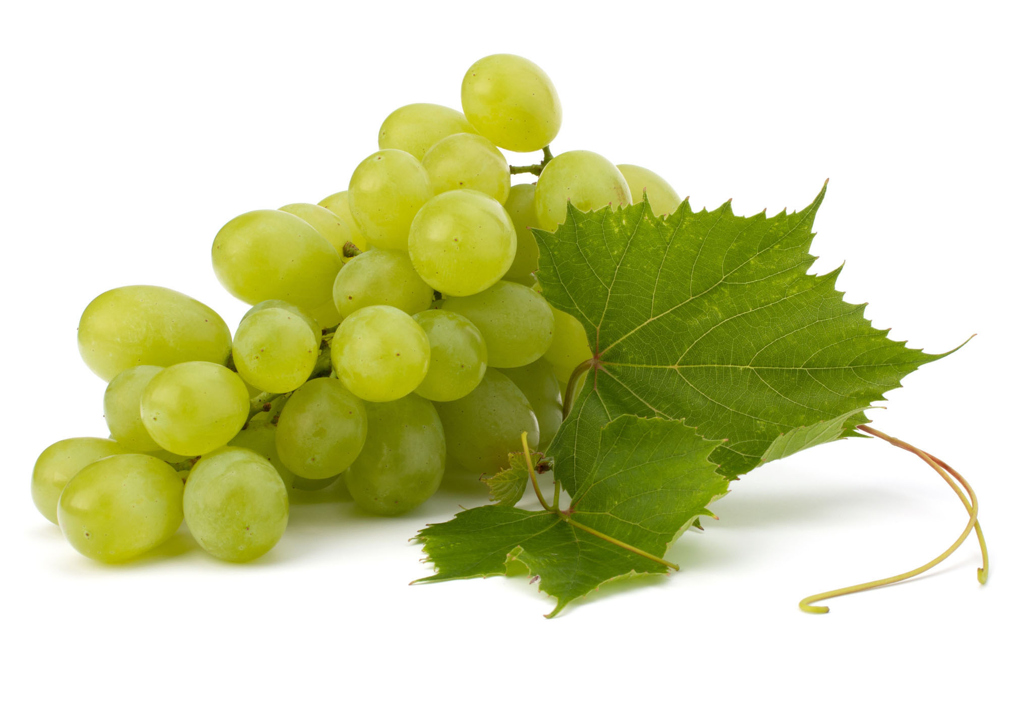 uva-verde