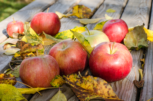 Frutas como as maçãs podem aliviar a dor de varizes