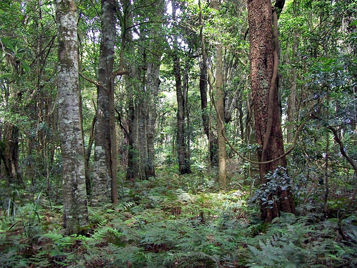 Robertson Nature Reserve