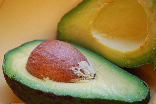 aguacate6