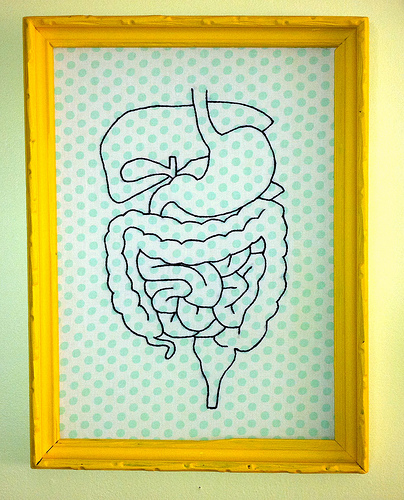 Ilustração dos intestinos para tratar a diverticulite