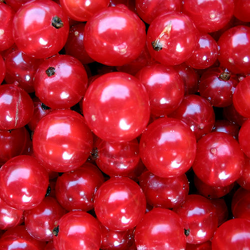 Frutas vermelhas antienvelhecimento