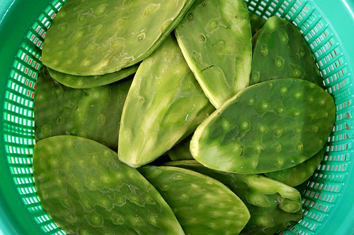 nopal2