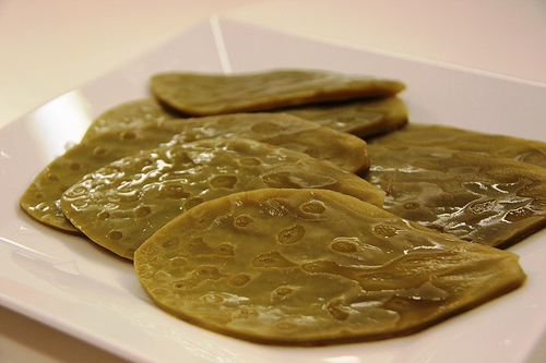 nopal4