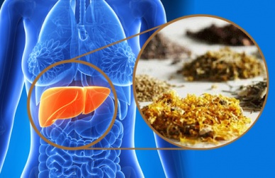 Limpe o fígado com estas ervas medicinais
