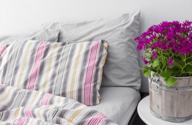 Como fazer de seu quarto um ambiente saudável?