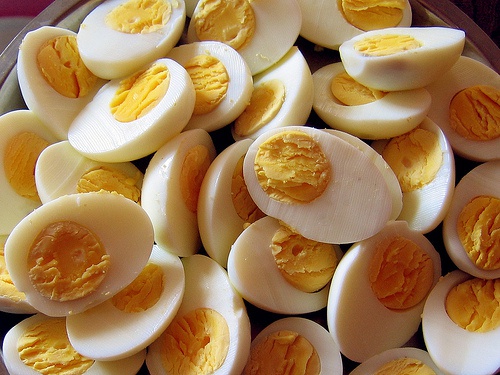 Ovos cozidos para dieta