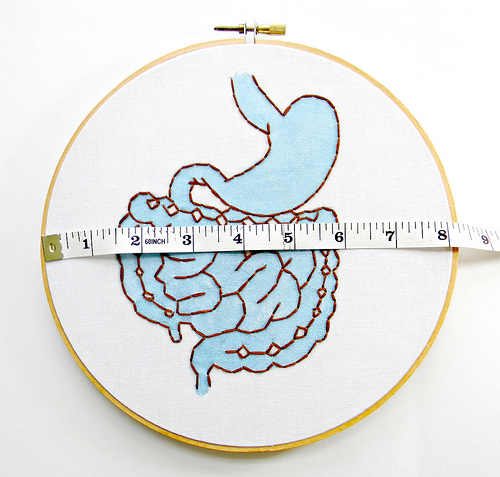 Consumo de fibras das sementes de linhaça para a saúde do intestino