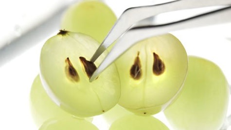 Sementes de uva com vários antioxidantes naturais