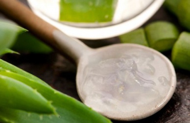 Creme para varizes à base de aloe vera e vinagre de maçã