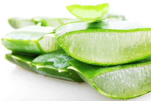 Aloe vera para as varizes